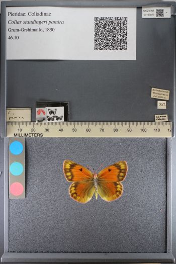 Media type: image;   Entomology 193879